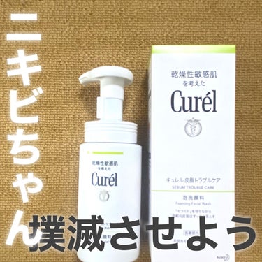 皮脂トラブルケア 泡洗顔料 150ml/キュレル/泡洗顔を使ったクチコミ（1枚目）