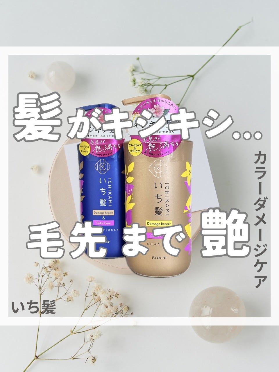 ãã¡ãŒãžãªãã¢ïŒã«ã©ãŒã±ã¢ ã·ã£ã³ããŒ/ã³ã³ãã£ã·ã§ããŒ/ãã¡é«ª/åžè²©ã·ã£ã³ããŒã䜿ã£ãã¯ãã³ãïŒ1æç®ïŒ