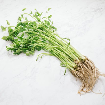 ã䜿ã£ãã¯ãã³ãïŒ2æç®ïŒ