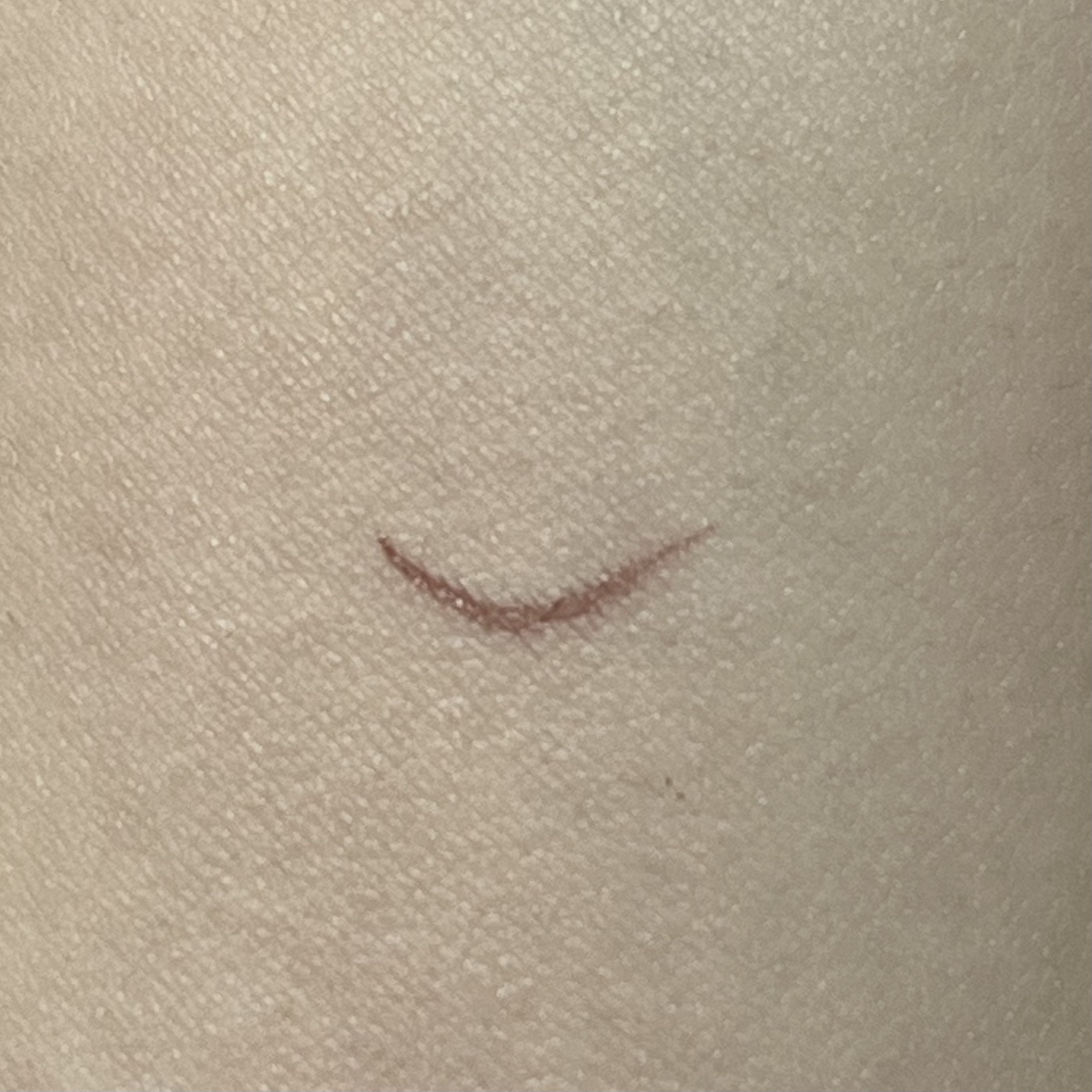 ラインエキスパンダー  BR713 桃色球根/MAJOLICA MAJORCA/リキッドアイライナーを使ったクチコミ（3枚目）