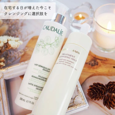 コーダリー GENTLE CLEANSING MILKのクチコミ「\ 肌をいたわる、ミルクレ✨/

ビビ1号2号に登場してもらって、メイク落ち選手権開催しました.....」（1枚目）