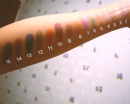 Studio Pro Dual Effect Wet/Dry Eyeshadow Palette/bh cosmetics/アイシャドウパレットを使ったクチコミ(3枚目)