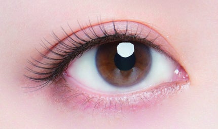 14 愛され丸目なハリネズミ