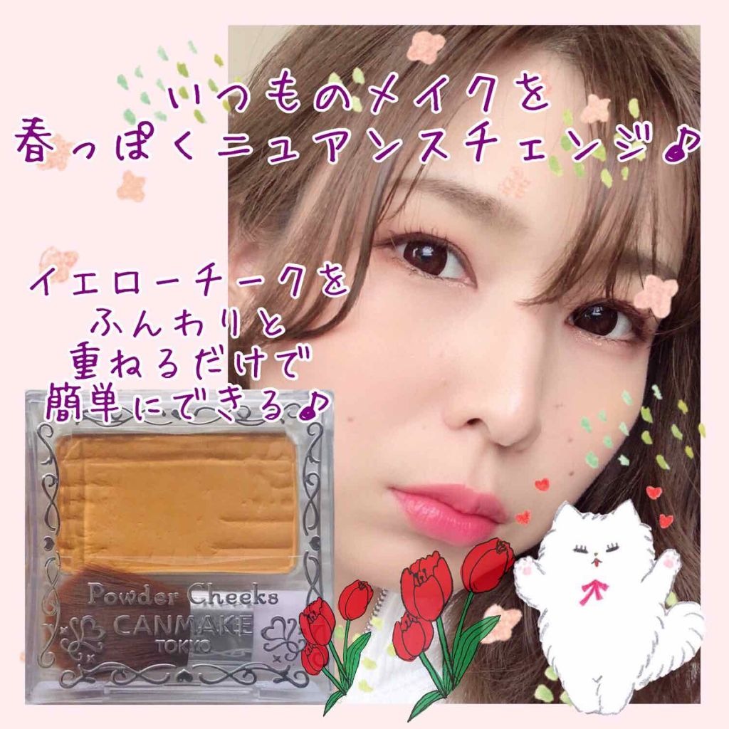 チーク カラー(ブラシ付)/ちふれ/パウダーチークを使ったクチコミ（1枚目）