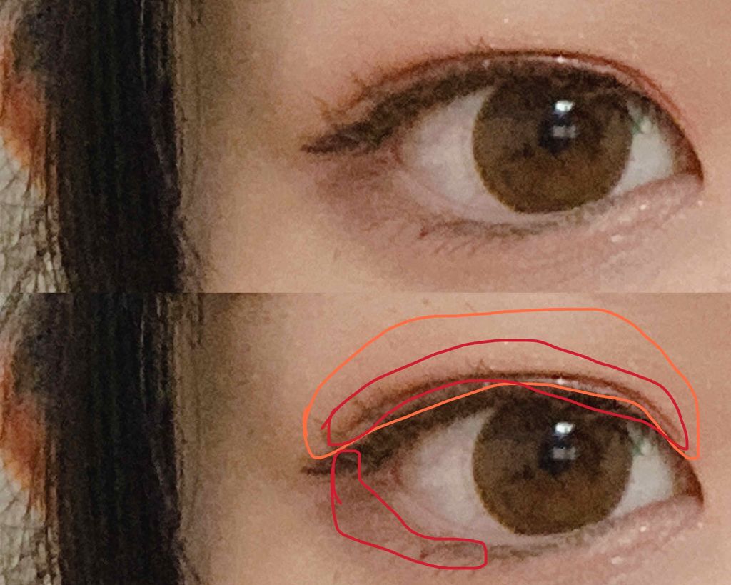 ナイストゥミーチュートランク/MAJOLICA MAJORCA/アイシャドウパレットを使ったクチコミ(3枚目)