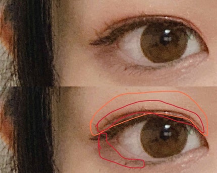 ナイストゥミーチュートランク/MAJOLICA MAJORCA/アイシャドウパレットを使ったクチコミ(3枚目)