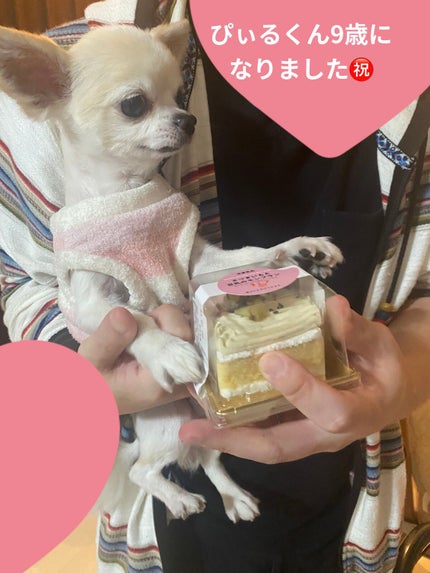 ジルスチュアート イルミネイティング セラムプライマー UV/JILL STUART/化粧下地を使ったクチコミ(9枚目)