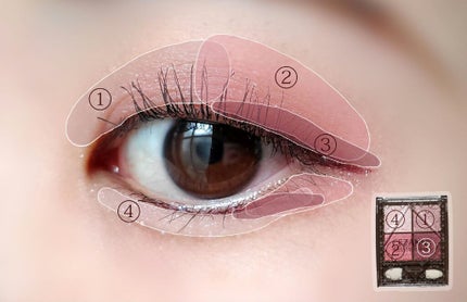 ニュアンスオンアイシャドウ/CEZANNE/アイシャドウパレットを使ったクチコミ(2枚目)