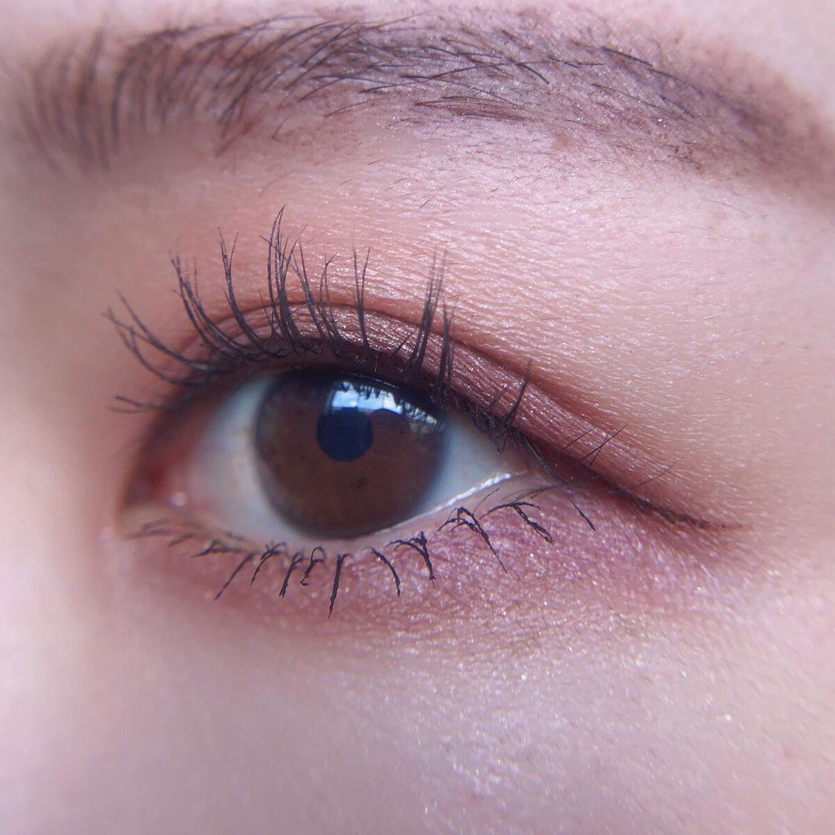 あゆみ on LIPS 「・\#todaysmake/・アイシャドウ☑@chanel.b..」(3枚目)