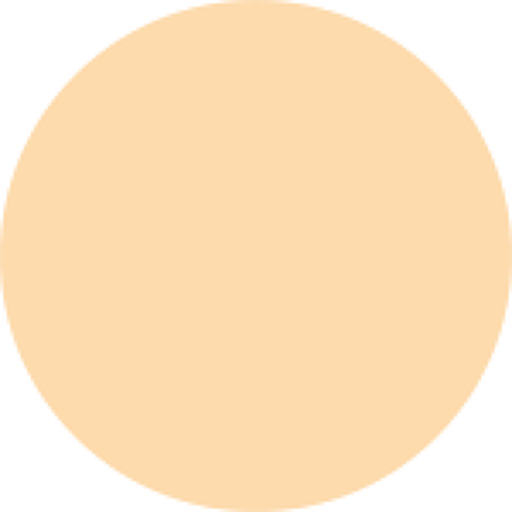 NスターターキットD(ツヤ) #30