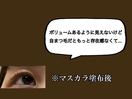 「塗るつけまつげ」ボリュームタイプ/デジャヴュ/マスカラを使ったクチコミ(3枚目)
