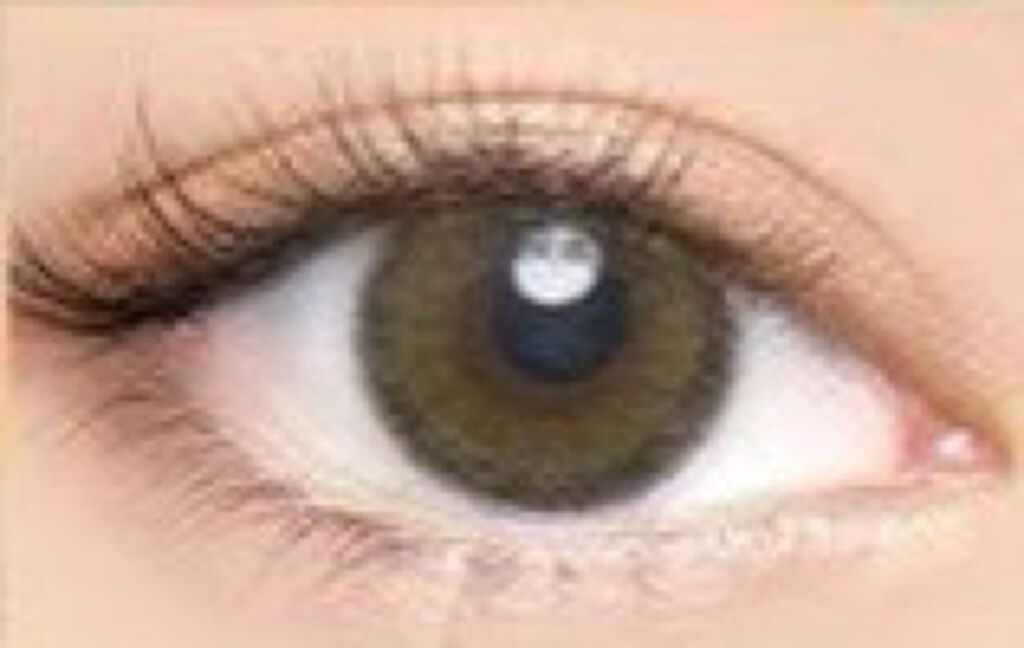 Angelcolor Bambi Series Vintage 1day/AngelColor/ワンデー（１DAY）カラコンを使ったクチコミ（2枚目）