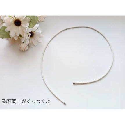 ライジンギアネックレス/neo salute/その他を使ったクチコミ(2枚目)