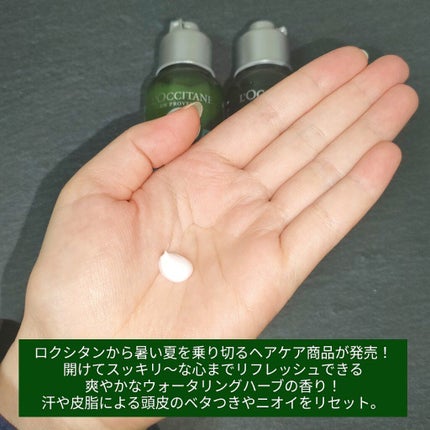 ファイブハーブス ピュアフレッシュネス シャンプー/コンディショナー/L'OCCITANE/市販シャンプーを使ったクチコミ(2枚目)