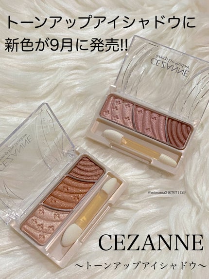 トーンアップアイシャドウ/CEZANNE/アイシャドウパレットを使ったクチコミ(1枚目)