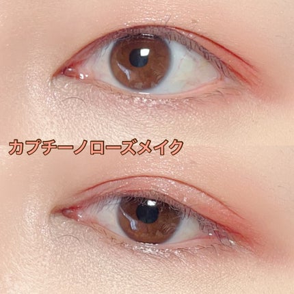 エクスプローラ12色 動物アイシャドウパレット/PERFECT DIARY/アイシャドウパレットを使ったクチコミ(5枚目)