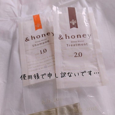 ディープモイスト シャンプー1.0／ヘアトリートメント2.0/&honey/シャンプー・コンディショナーを使ったクチコミ（2枚目）