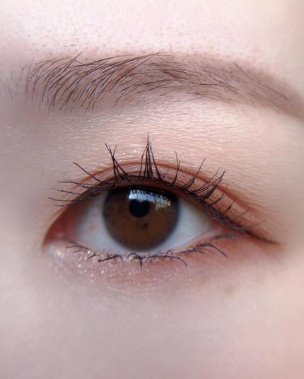 シルキースフレアイズ(マットタイプ)/キャンメイク/アイシャドウパレットを使ったクチコミ(5枚目)