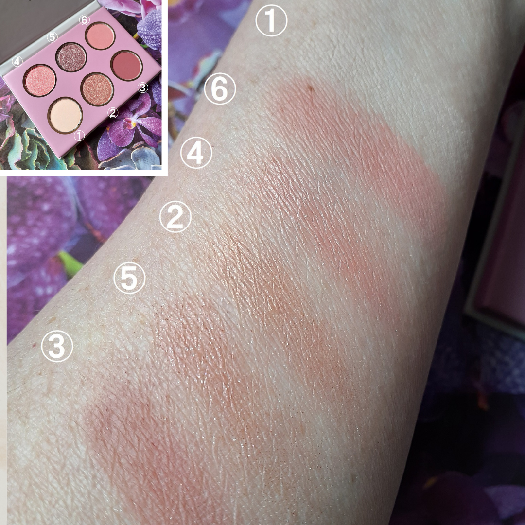 ティントリップレスキュー/FRESHO2/リップバームを使ったクチコミ(3枚目)