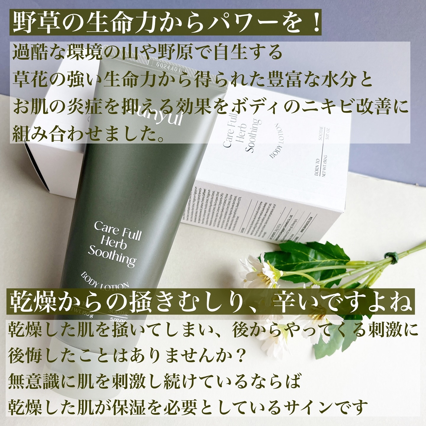 ケアフルハーブ スージングボディローション/EUNYUL/ボディローションを使ったクチコミ（3枚目）