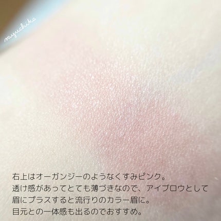 ミネラルクラッシィシャドー/エトヴォス/アイシャドウパレットを使ったクチコミ(4枚目)