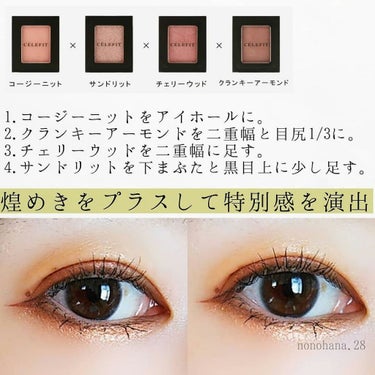 Eyes Fit Daily Shadow/CELEFIT/パウダーアイシャドウを使ったクチコミ（4枚目）