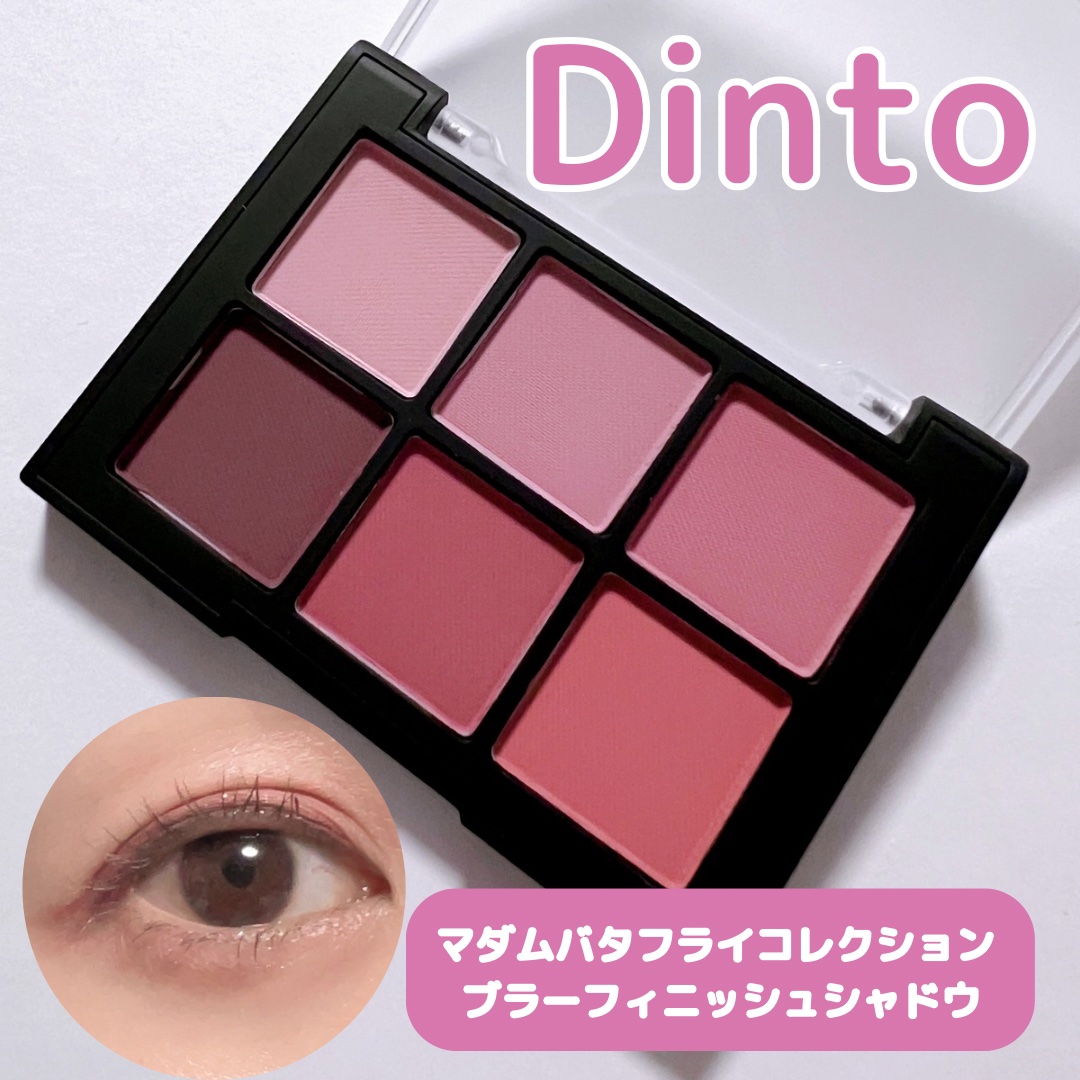 ブラーフィニシュシャドウパレット/Dinto/アイシャドウパレットを使ったクチコミ（1枚目）