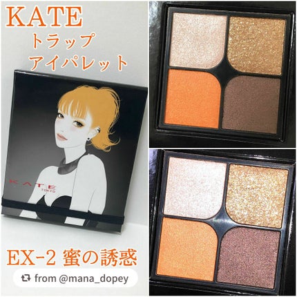 トラップアイパレット/KATE/アイシャドウパレットを使ったクチコミ(2枚目)