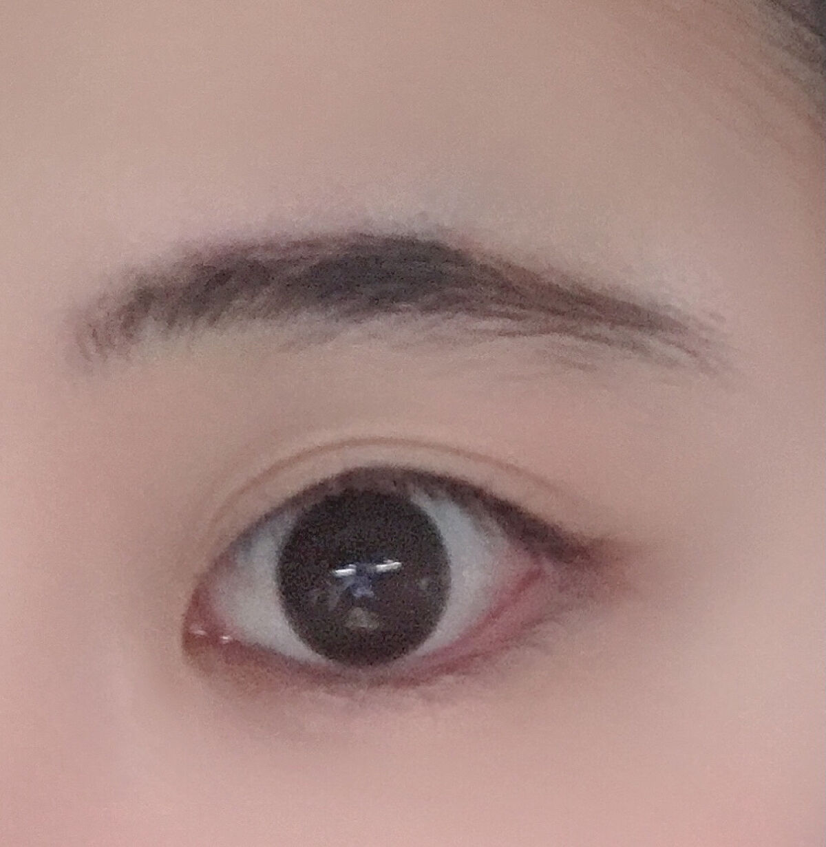 フーミー マルチアイブロウパウダー/WHOMEE/パウダーアイブロウを使ったクチコミ（2枚目）