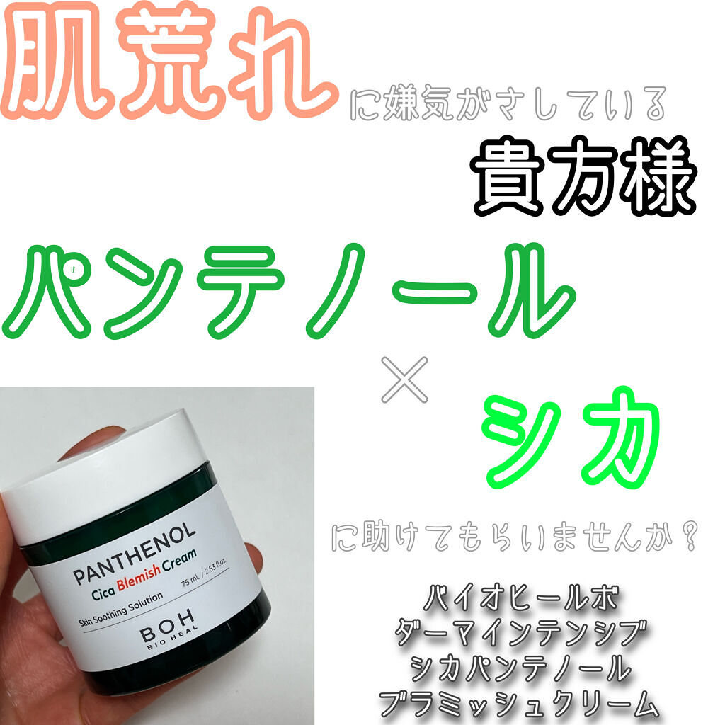 ダーマインテンシブシカパンテノールブラミッシュクリーム/BIOHEAL BOH/フェイスクリームを使ったクチコミ（1枚目）
