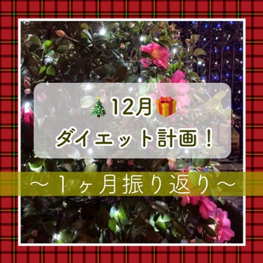 ※雑談※12月のダイエット計画振り返り🙌


✿目標✿
今月の目標は、「今」できることを継続！
→自信を持って達成！とは言い切れない…😭
食事に関しては、前月よりもバランスを意識できた気がしますが、運動