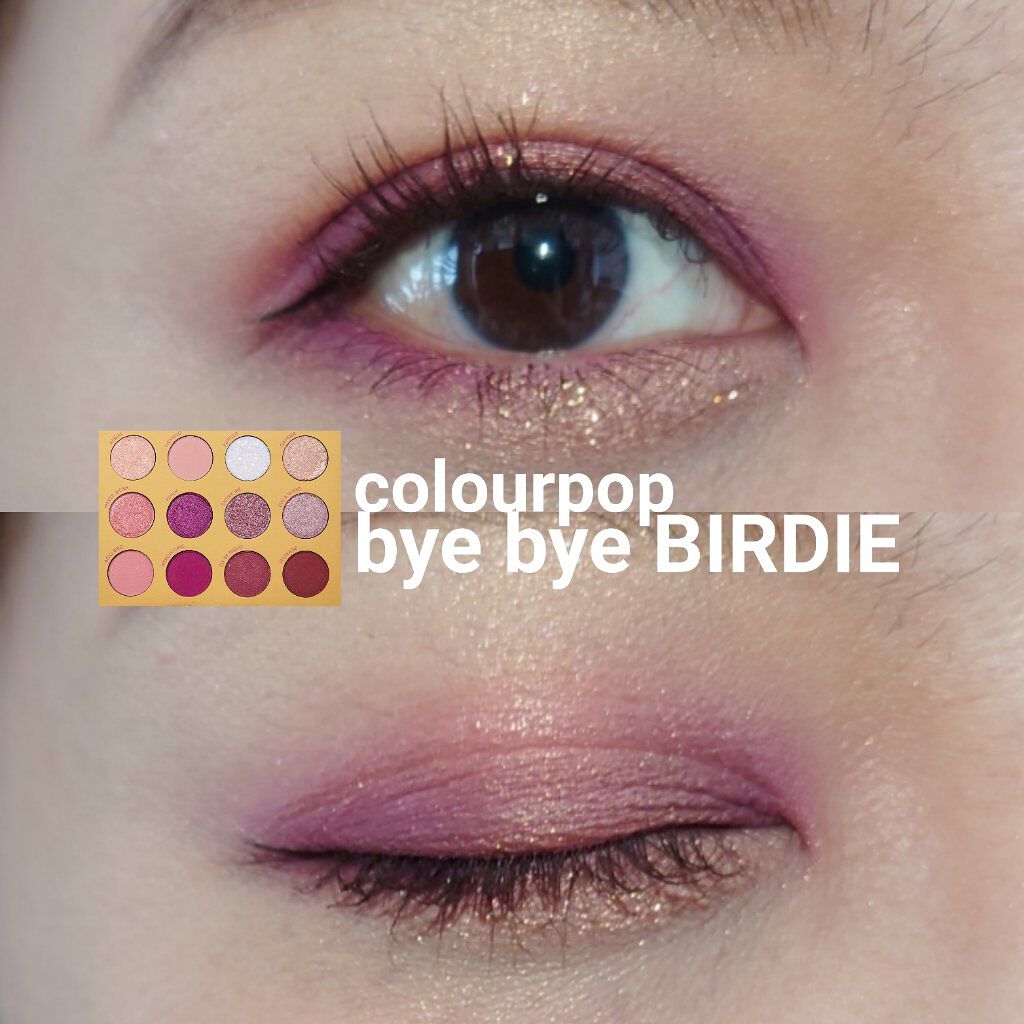 BYE BYE BIRDIE/ColourPop/アイシャドウパレットを使ったクチコミ（1枚目）