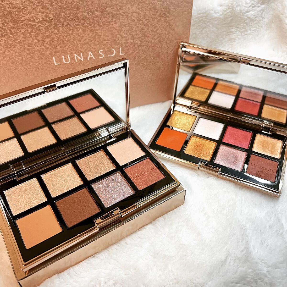 アイカラーレーション スペシャルエディション EX01 Brilliant Chic