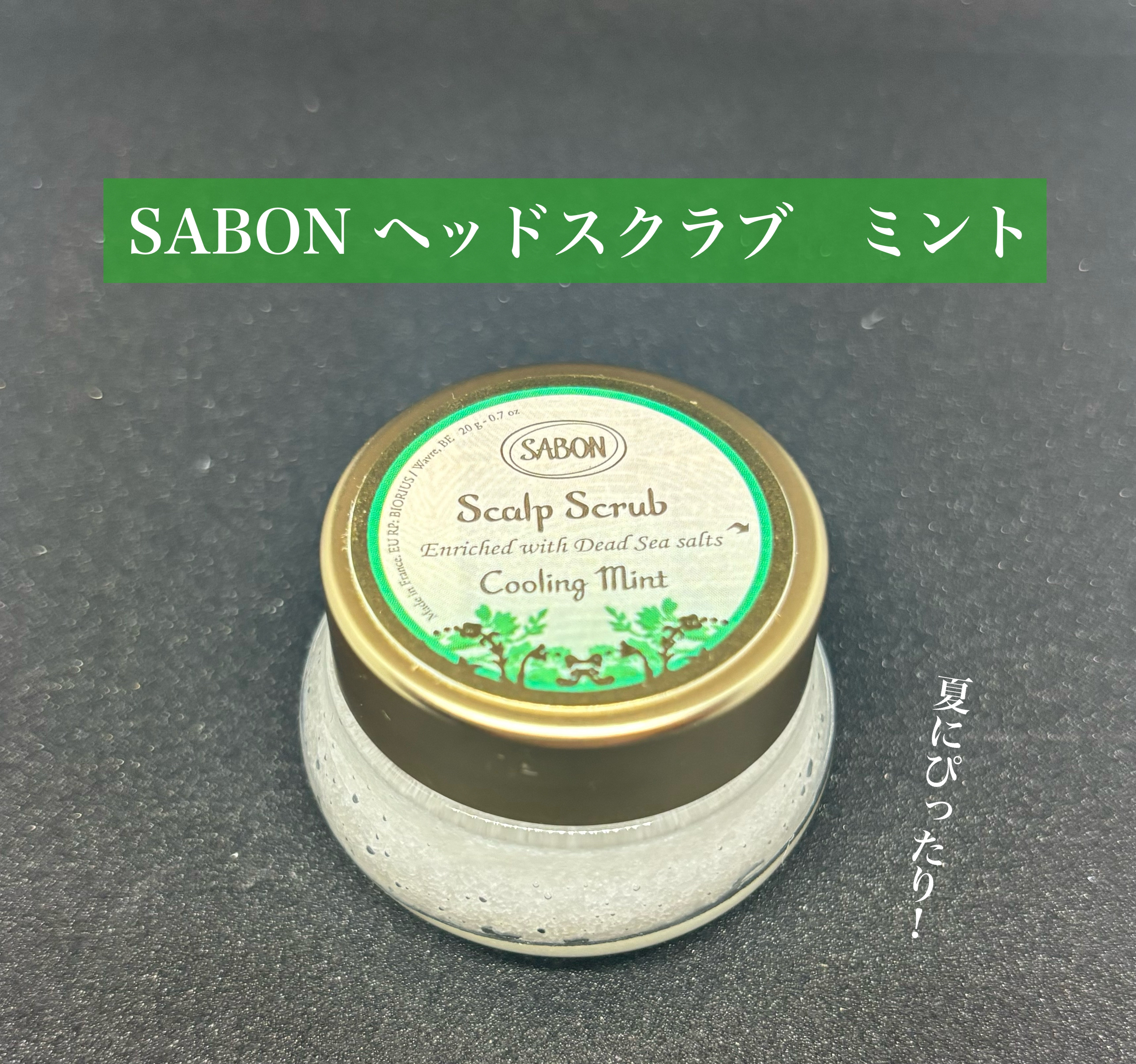 サンプルレポ





SABON
ヘッドスクラブ リフレッシング　ミント










色々あって投稿できなかったので
頂いてからだいぶ前の話ですが…🥲







ラベンダーを購入する時
店員さんにミントの香り苦手だけど
効果