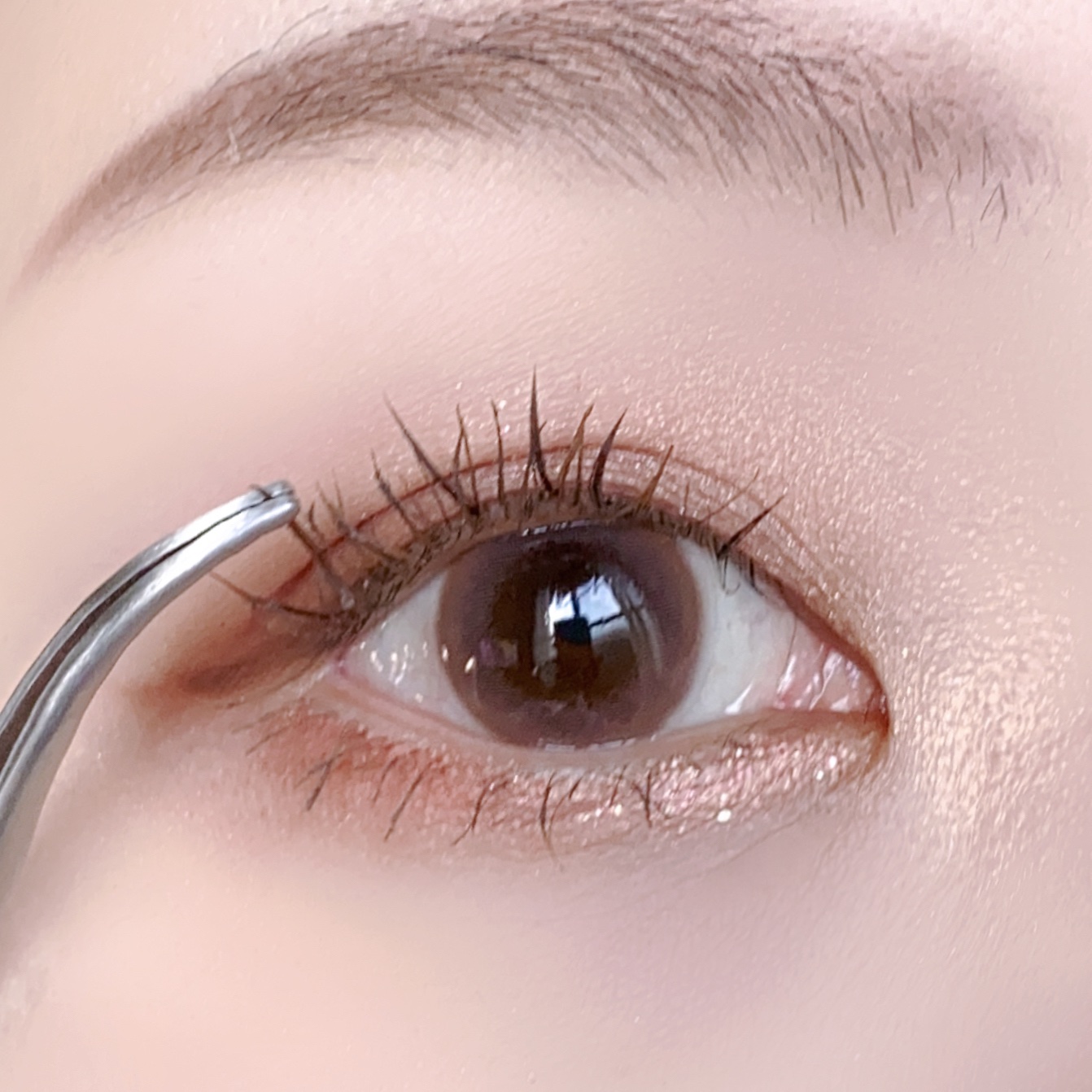 アイラッシュツイーザー/ミッシュブルーミン/毛抜きを使ったクチコミ（2枚目）