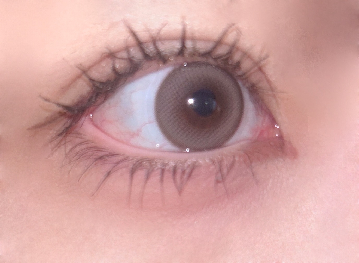 パーフェクトエクステンション マスカラ for カール/D-UP/マスカラを使ったクチコミ（1枚目）