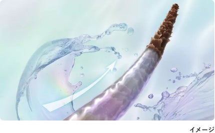 エッセンシャル プレミアム ウォータートリートメント EXスムース/エッセンシャル/アウトバストリートメントを使ったクチコミ(2枚目)