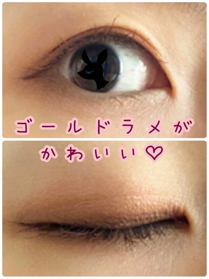 スキニーリッチシャドウ/excel/アイシャドウパレットを使ったクチコミ(2枚目)