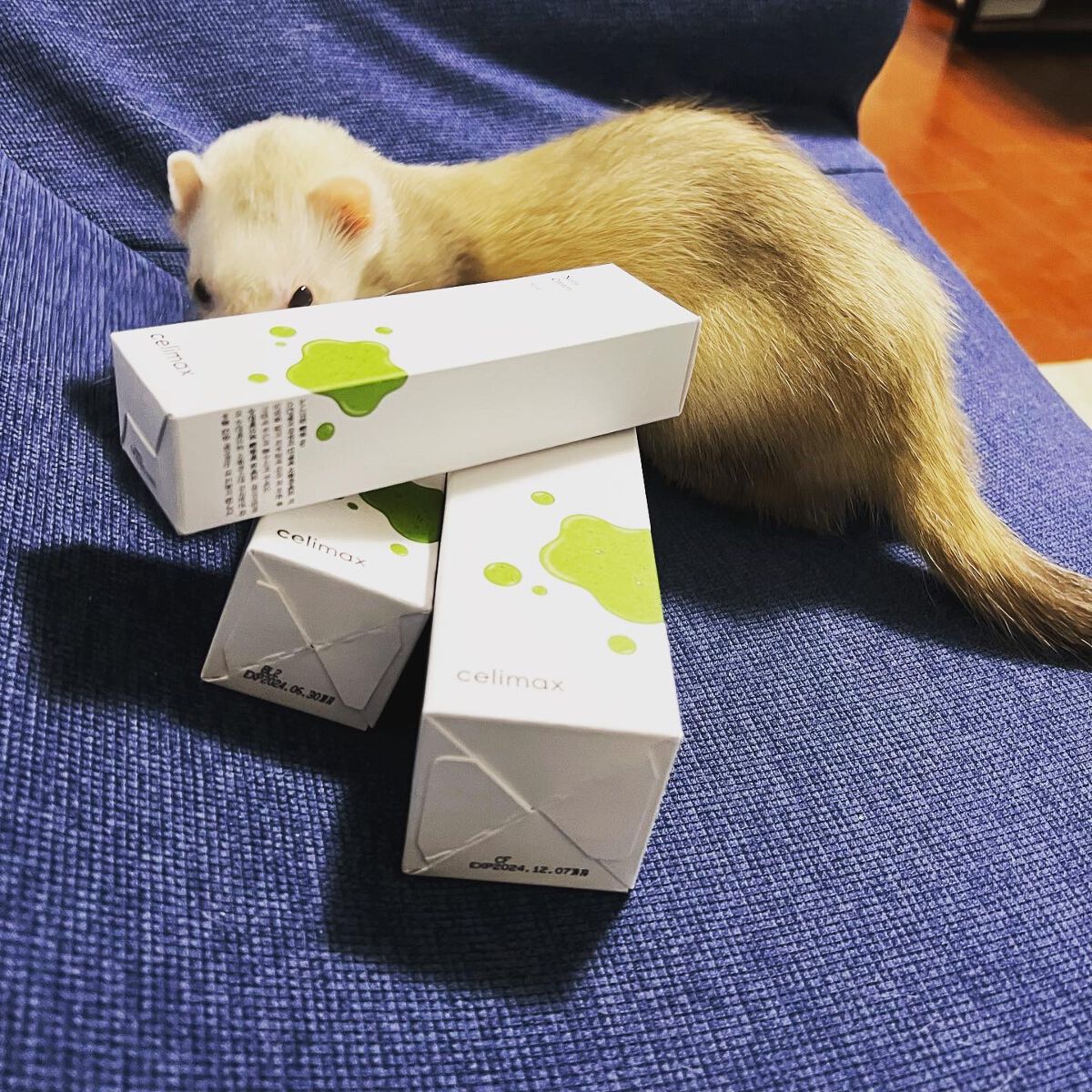 Noni Ampule/celimax/美容液を使ったクチコミ(6枚目)