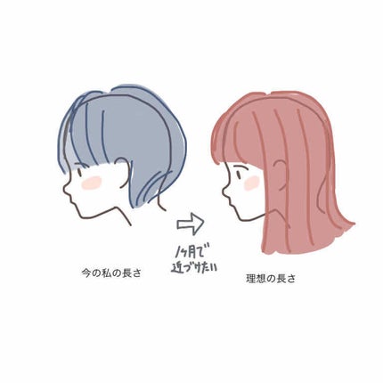 海藻 ヘア エッセンス しっとり/ラサーナ/ヘアオイルを使ったクチコミ(2枚目)