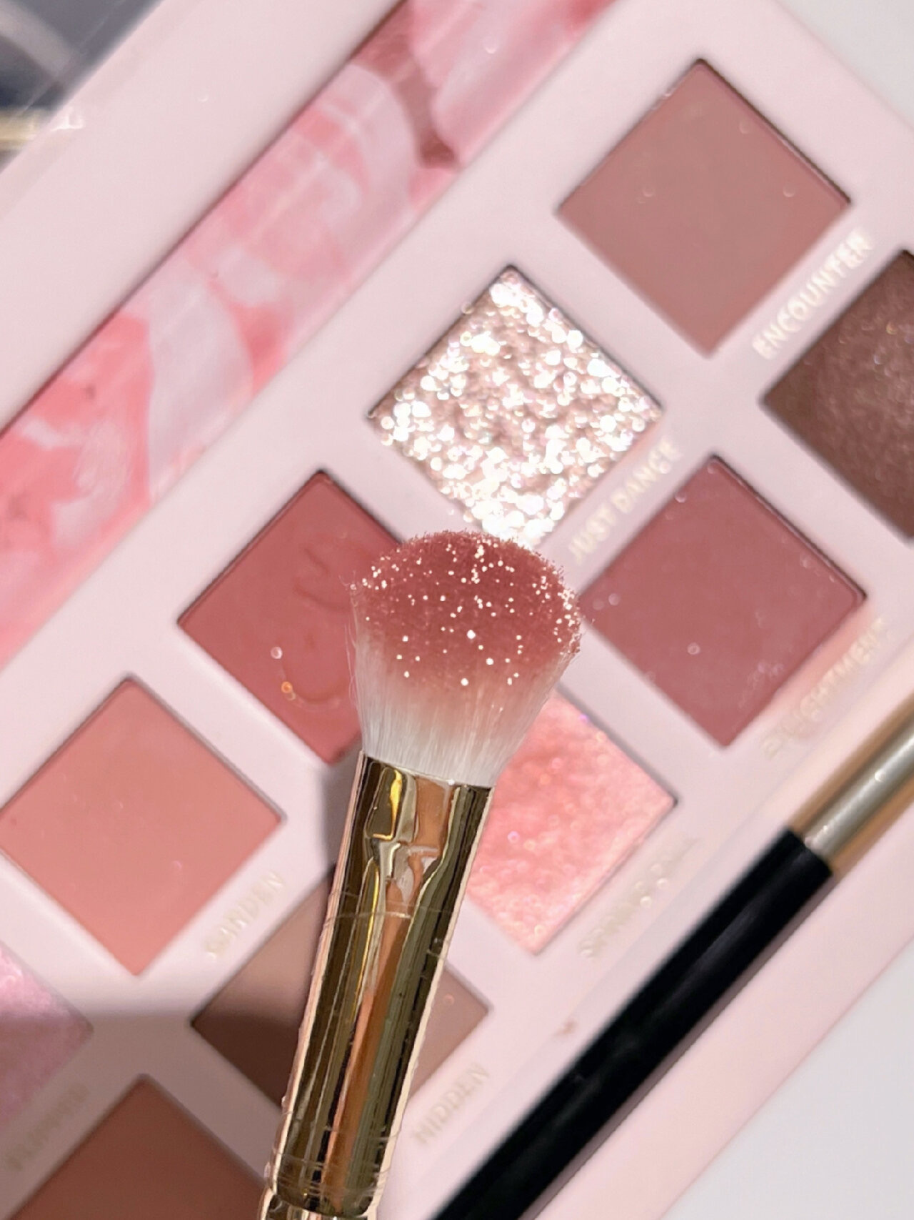 エクスプローラ12色 動物アイシャドウパレット/PERFECT DIARY/アイシャドウパレットを使ったクチコミ（3枚目）