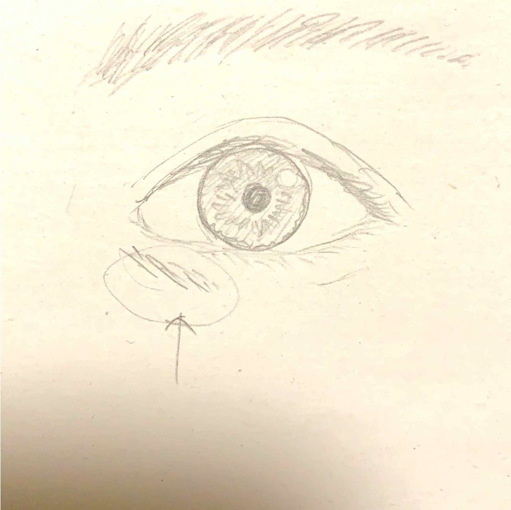 目元ふっくらクリーム NC/なめらか本舗/アイケア・アイクリームを使ったクチコミ(3枚目)