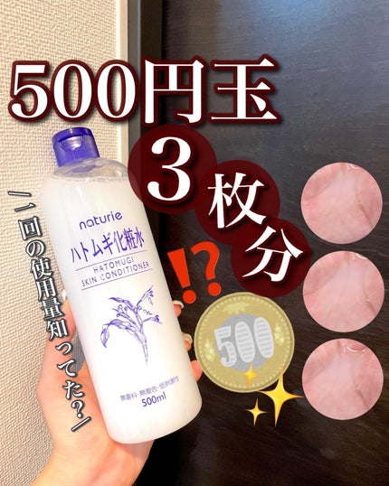 ハトムギ化粧水(ナチュリエ スキンコンディショナー R )/ナチュリエ/化粧水を使ったクチコミ(1枚目)