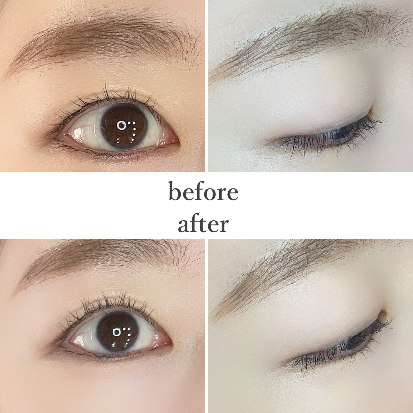 ã¯ããã§ãããããŒãã«ãŒã©ãŒ/SHOBIDO/ããããã¥ãŒã©ãŒã䜿ã£ãã¯ãã³ãïŒ5æç®ïŒ