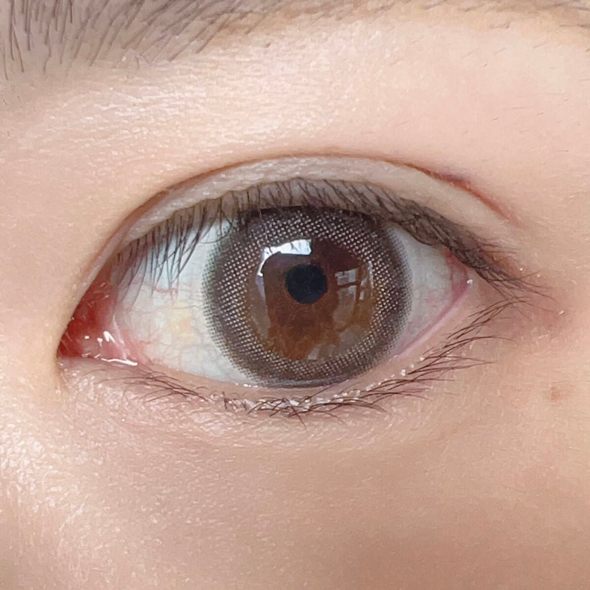 エバーカラーワンデーニコリ/エバーカラー/ワンデー(1DAY)カラコンを使ったクチコミ(4枚目)