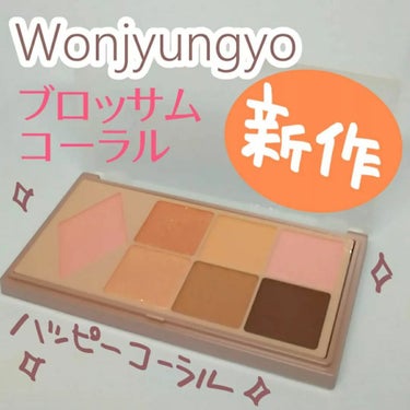 ウォンジョンヨ Ｗ デイリームードアップパレット /Wonjungyo/アイシャドウパレットを使ったクチコミ（1枚目）