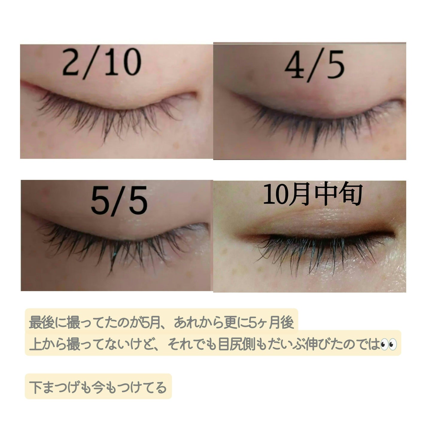 ラッシュアディクト アイラッシュコンディショニングセラム/soaddicted/まつげ美容液を使ったクチコミ(2枚目)