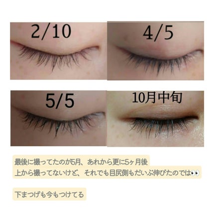 ラッシュアディクト アイラッシュコンディショニングセラム/soaddicted/まつげ美容液を使ったクチコミ(2枚目)