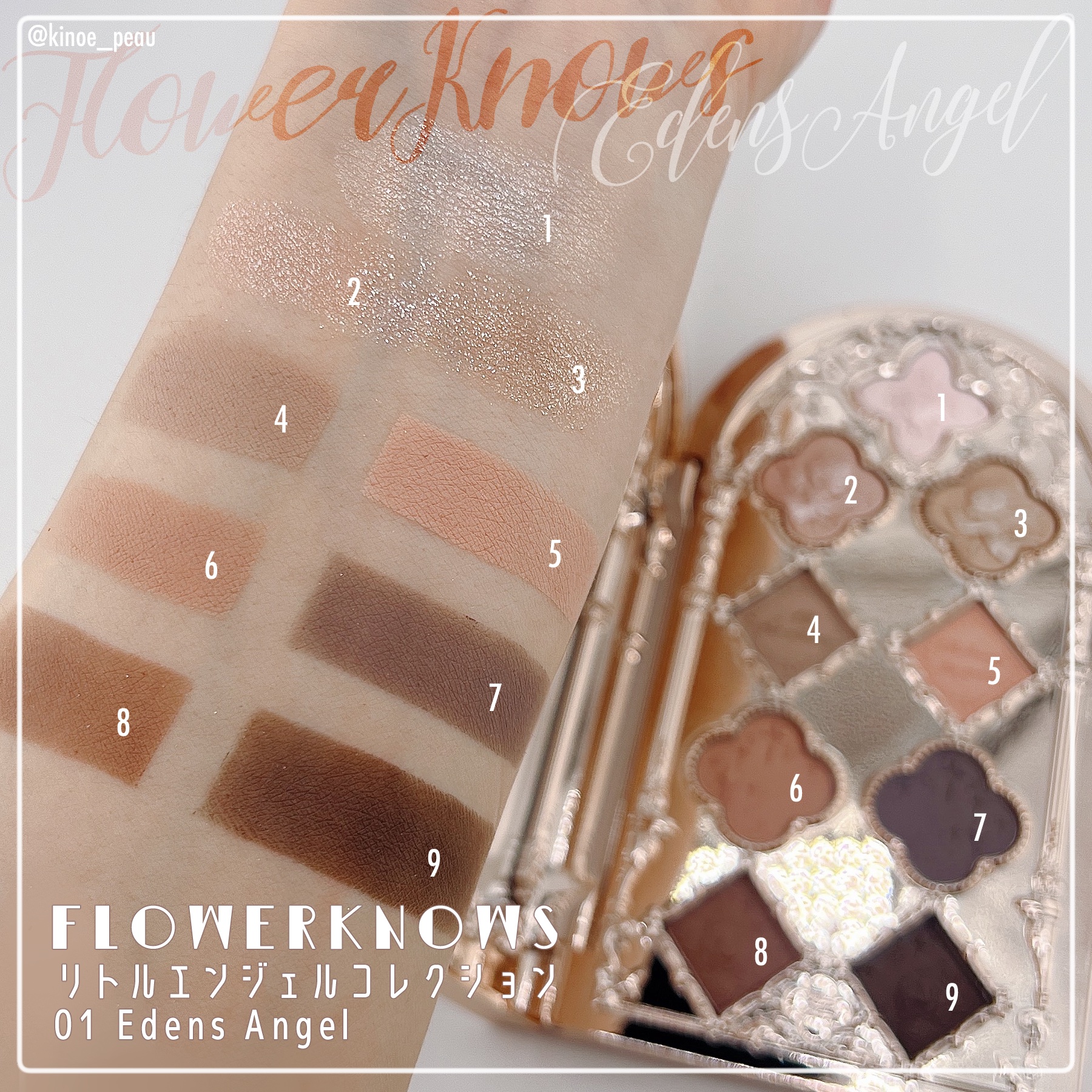 フラワーノーズ リトルエンジェルコレクション 9色アイシャドウパレット 01 Eden's Angel (伊甸天使)/FlowerKnows/アイシャドウパレットを使ったクチコミ（2枚目）