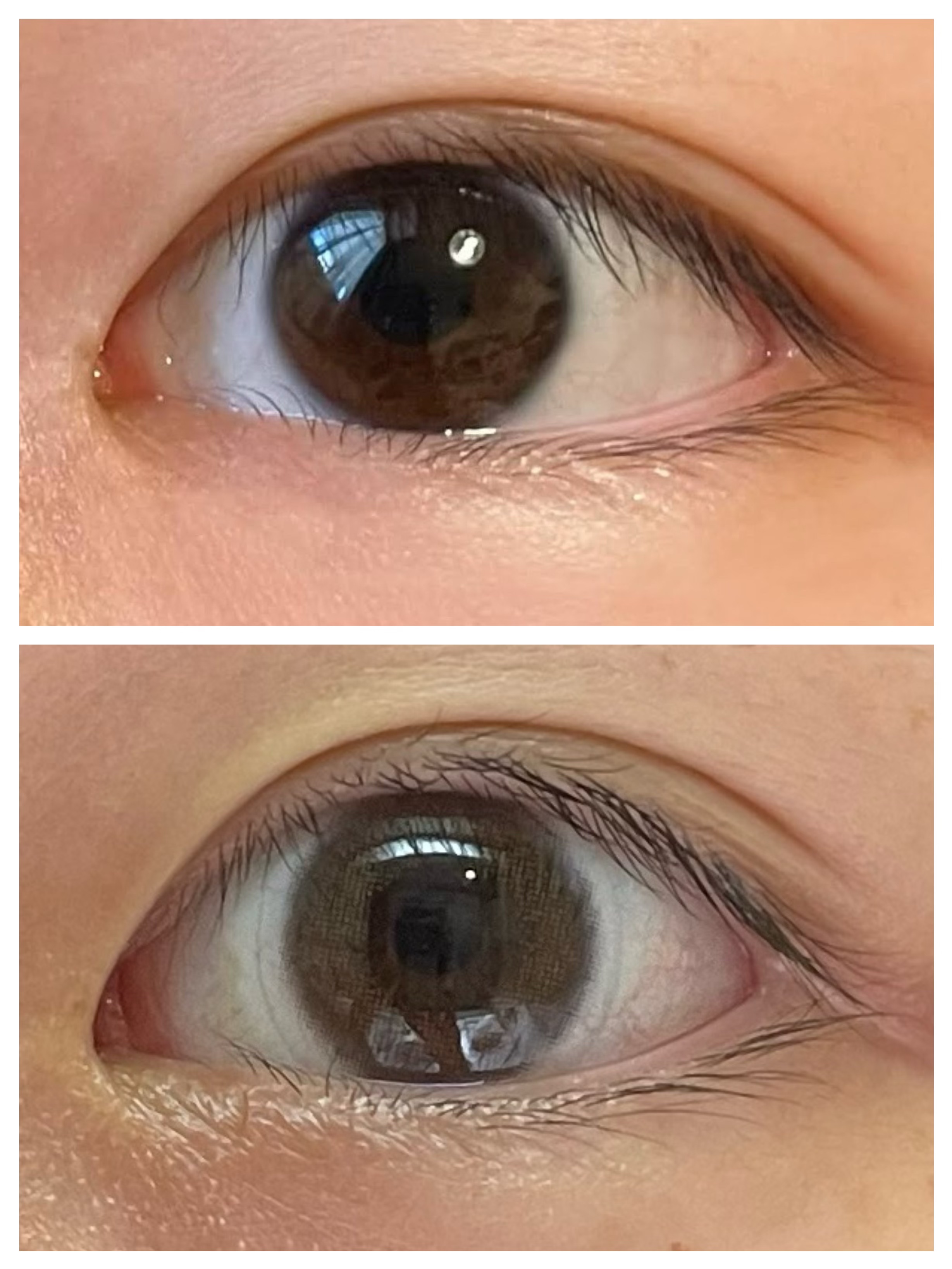 miium 1day くらげ/miium/ワンデー（１DAY）カラコンを使ったクチコミ（2枚目）